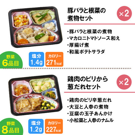 宅菜便　からだ想いのはれやか御膳20食（お試しEセット）