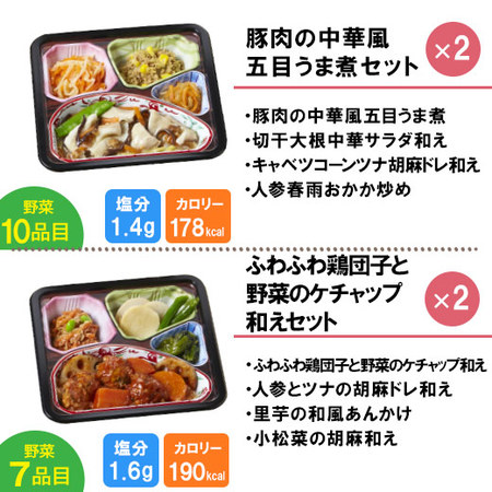 宅菜便　からだ想いのはれやか御膳20食（お試しEセット）