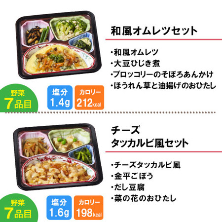 宅菜便　からだ想いのはれやか御膳10食（お試しFセット）