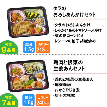 宅菜便　からだ想いのはれやか御膳10食（お試しFセット）