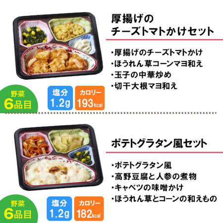 宅菜便　からだ想いのはれやか御膳10食（お試しFセット）