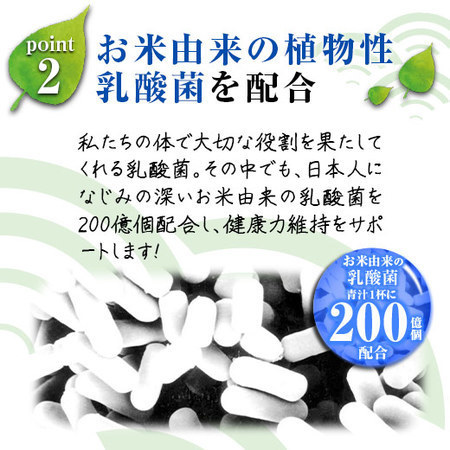 【アウトレットセール・特別送料無料！】厳選国産野菜　まもる青汁●