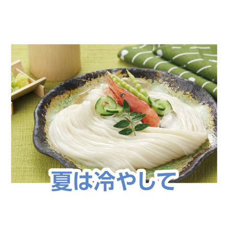 稲庭城下うどん