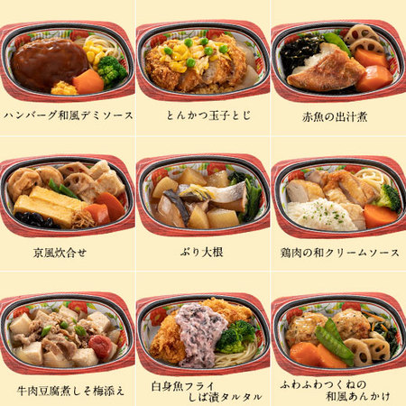 【アウトレットセール★WEB限定セット！特別価格！】はんなり一菜９種１５食セット