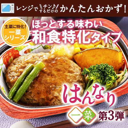 【アウトレットセール★約２６％ＯＦＦ！】宅菜便　はんなり一菜お試し３０食Cセット