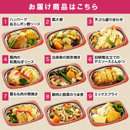 【アウトレットセール★約２６％ＯＦＦ！】宅菜便　はんなり一菜お試し３０食Cセット