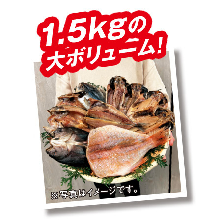 沼津加工　訳あり干物４．５キロお楽しみセット