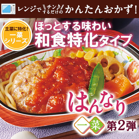 【アウトレットセール★約３３％ＯＦＦ！】宅菜便　はんなり一菜お試し１５食Bセット