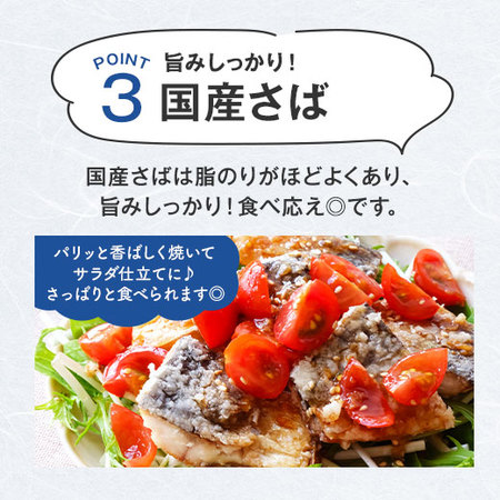 ≪特別送料無料★約４１％ＯＦＦ≫訳あり国産無塩骨取りさばフィーレ２ｋｇ