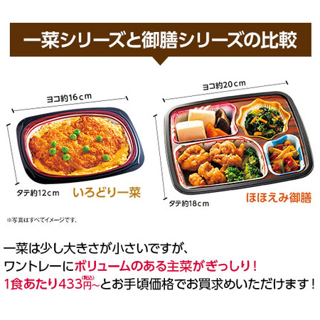 宅菜便　ぬくもり一菜お試し３０食（Bセット）