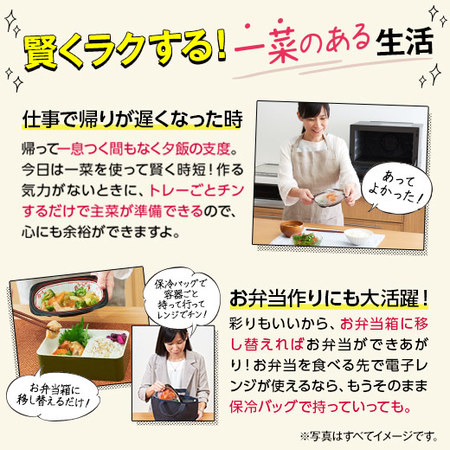 宅菜便　ぬくもり一菜お試し３０食（Bセット）