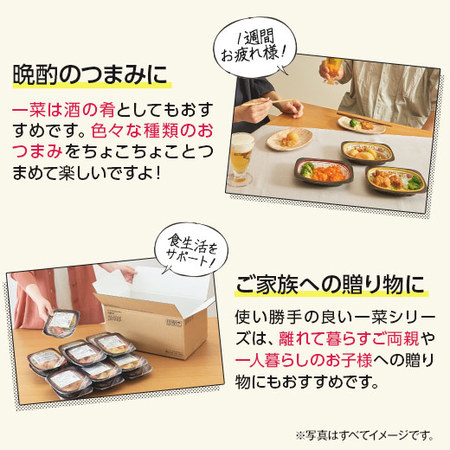 宅菜便　ぬくもり一菜お試し３０食（Bセット）