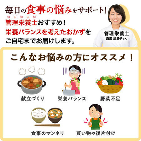 宅菜便　京都はんなり一菜お試し３０食（Bセット）