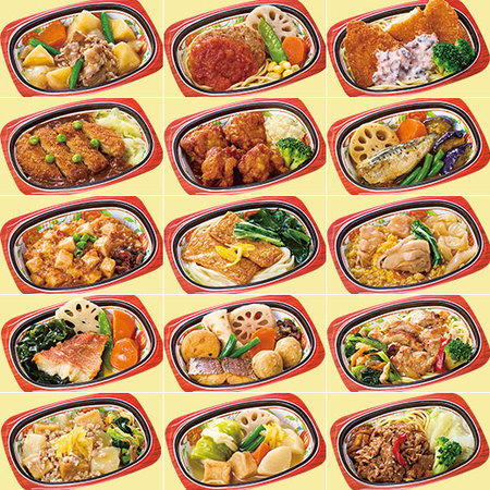 宅菜便　京都はんなり一菜お試し３０食（Bセット）