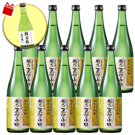 ≪ＷＥＢ限定★在庫販売！６９％ＯＦＦ！≫越乃至宝水明 純米大吟醸 五百万石720ｍｌ １０本組