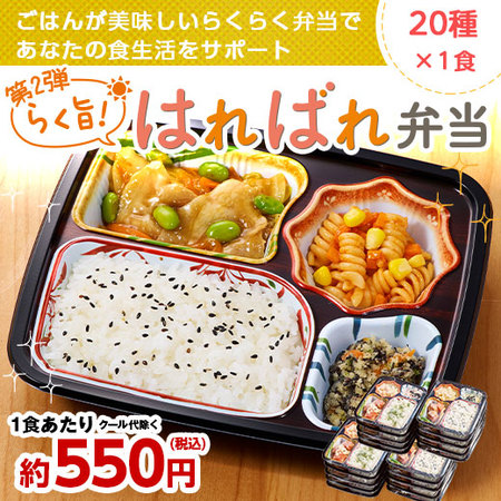 第２弾らく旨はればれ弁当２０種 ABセット【お試し単品】