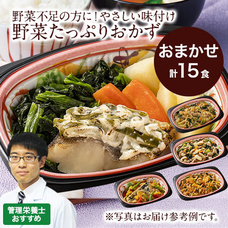【アウトレットセール★ＷＥＢ限定セット！】なごやか一菜おまかせ１５食セット