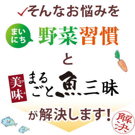 【アウトレットセール★約１５％ＯＦＦ！】まいにち野菜習慣と美味まるごと魚三昧80袋セット（6月分）