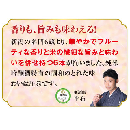 ≪５１％ＯＦＦ！≫特割！越乃六蔵純米吟醸飲みくらべ一升瓶６本組＜第２弾＞