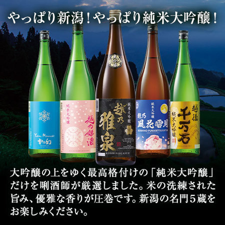≪５１％ＯＦＦ！≫特割！越乃五蔵純米大吟醸飲みくらべ一升瓶５本組＜第４弾＞