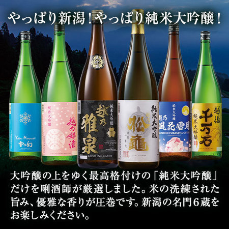 ≪５５％ＯＦＦ！≫特割！越乃六蔵純米大吟醸飲みくらべ一升瓶６本組＜第４弾＞