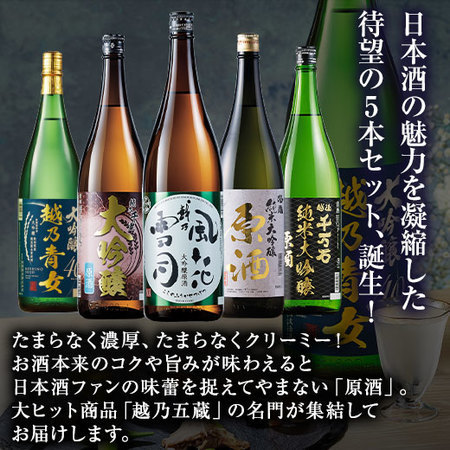 ≪５０％ＯＦＦ！≫特割！越乃五蔵プレミアム原酒飲みくらべ一升瓶５本組