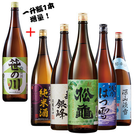 ≪ＷＥＢ限定★５６％ＯＦＦ！！≫純米酒入り！新潟地酒５本組＋１本増量セット＜第３弾＞