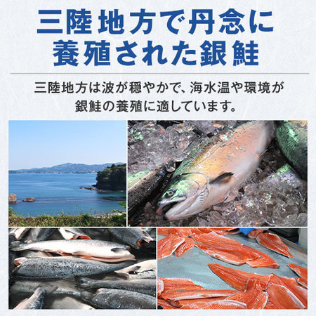 お徳用！三陸産塩銀鮭切り身１ｋｇ