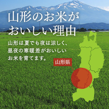 山形県産雪若丸５キロ