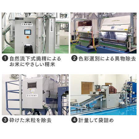 山形県産雪若丸５キロ