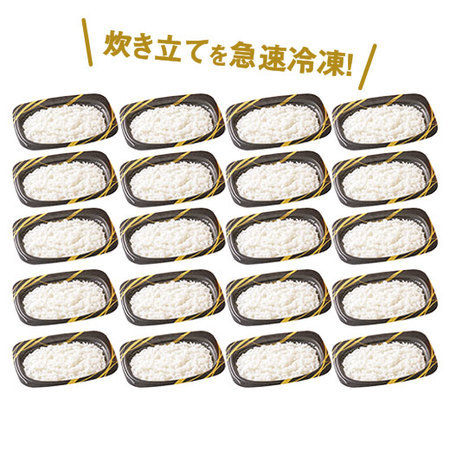 【アウトレットセール】パック入り冷凍ご飯２０食セット