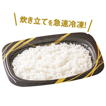 【アウトレットセール】パック入り冷凍ご飯２０食セット