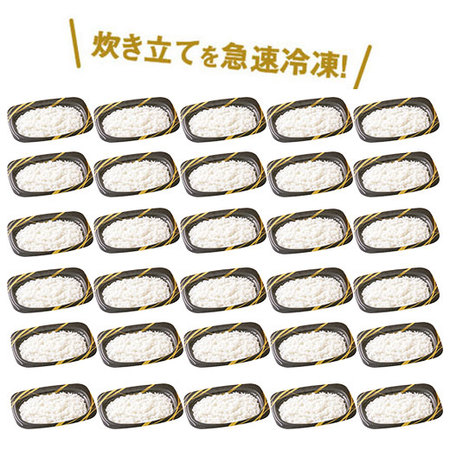 【アウトレットセール】パック入り冷凍ご飯３０食セット