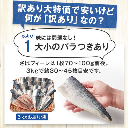 ≪特別送料無料≫訳あり国産無塩骨取りさばフィーレ３ｋｇ