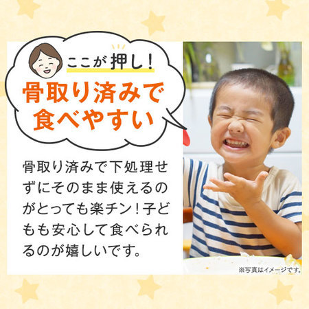 ≪特別送料無料≫訳あり国産無塩骨取りさばフィーレ３ｋｇ