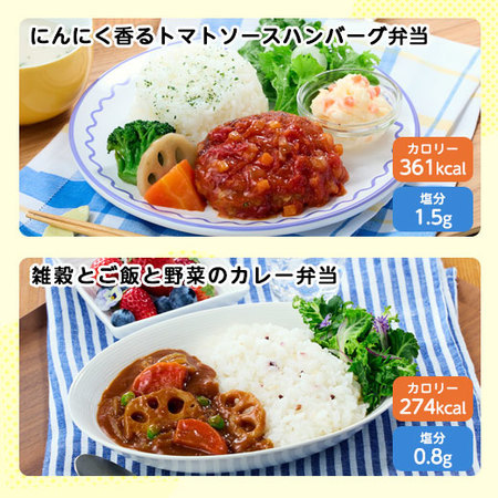 【アウトレットセール★約３２％ＯＦＦ！】らく旨！はればれ弁当１０種