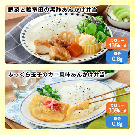 【アウトレットセール★約３２％ＯＦＦ！】らく旨！はればれ弁当１０種
