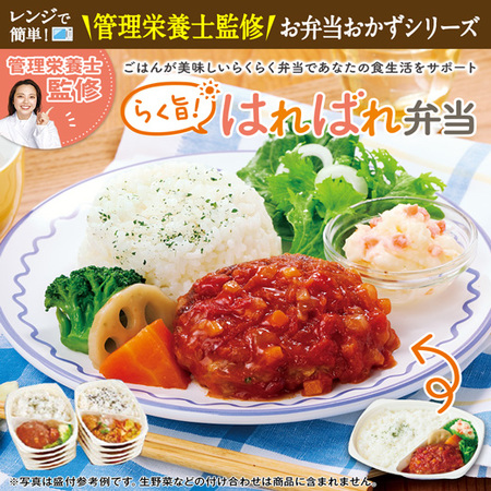 【アウトレットセール★約３２％ＯＦＦ！】らく旨！はればれ弁当１０種