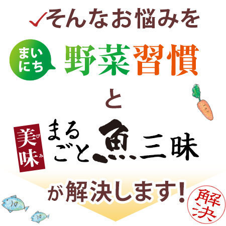 ≪第２弾≫ 健康応援おかず８０袋