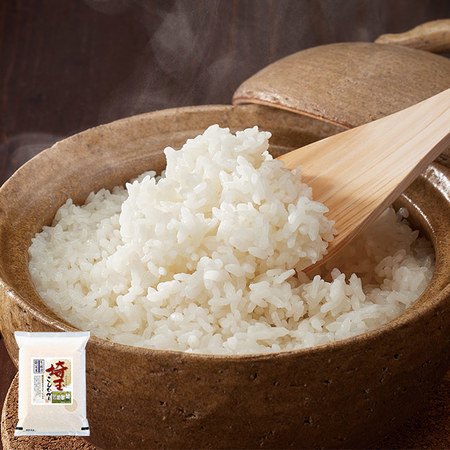 埼玉県幸手産こしひかり３キロ