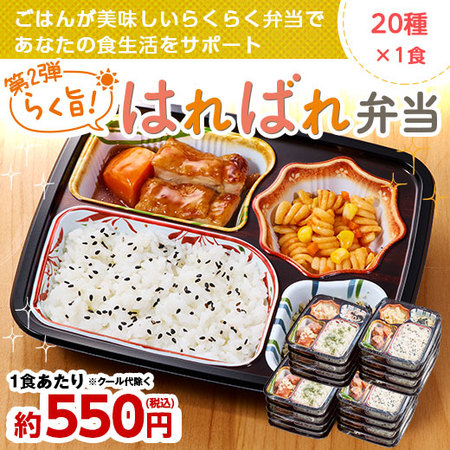宅菜便　第２弾らく旨はればれ弁当 ２０種C・Dセット【お試し単品】