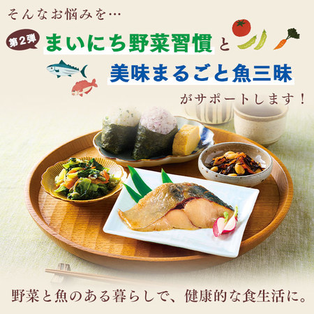 【第２弾】まいにち野菜習慣と美味まるごと魚三昧４０袋　お試しAセット