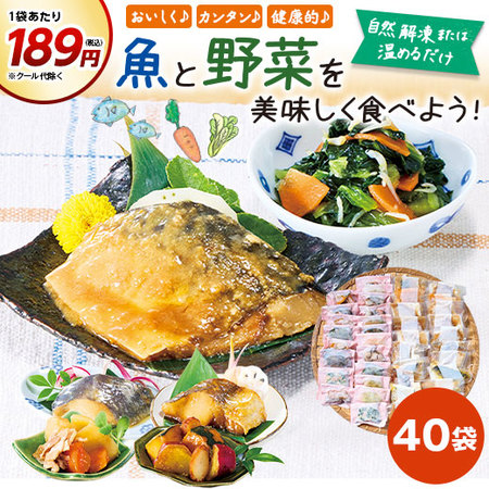 【第２弾】まいにち野菜習慣と美味まるごと魚三昧４０袋　お試しBセット