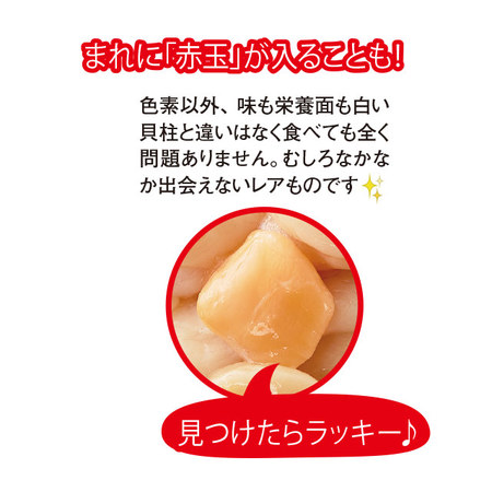 北海道産訳ありほたて貝柱３００ｇ