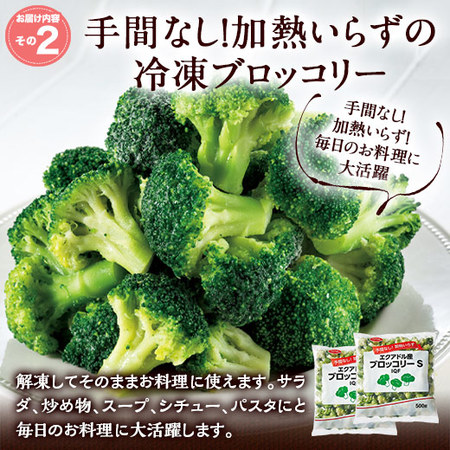 ≪ＷＥＢ限定≫どっさり野菜食材セット