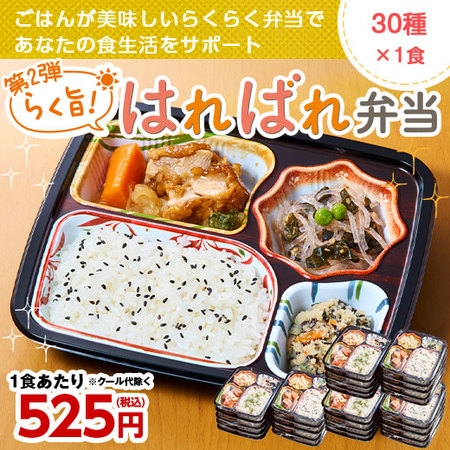 宅菜便　第２弾らく旨はればれ弁当３０種 B・C・Dセット【お試し単品】