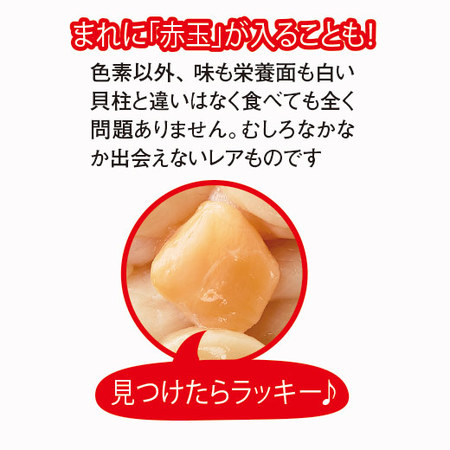 北海道産訳ありほたて貝柱６００ｇ