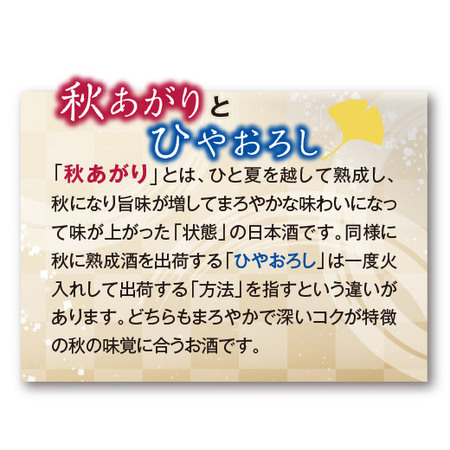 ≪５６％ＯＦＦ！≫特割！越乃六蔵大吟醸秋あがり飲みくらべ一升瓶６本組