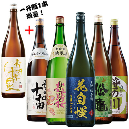 ≪６１％ＯＦＦ！≫特選！全国地酒一升瓶５本組＋１本増量セット＜第２弾＞