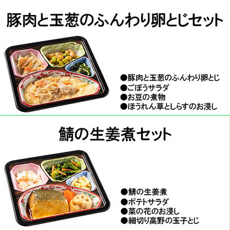 宅菜便　はなまる御膳１０食（お試しFセット）+ごはんみそ汁